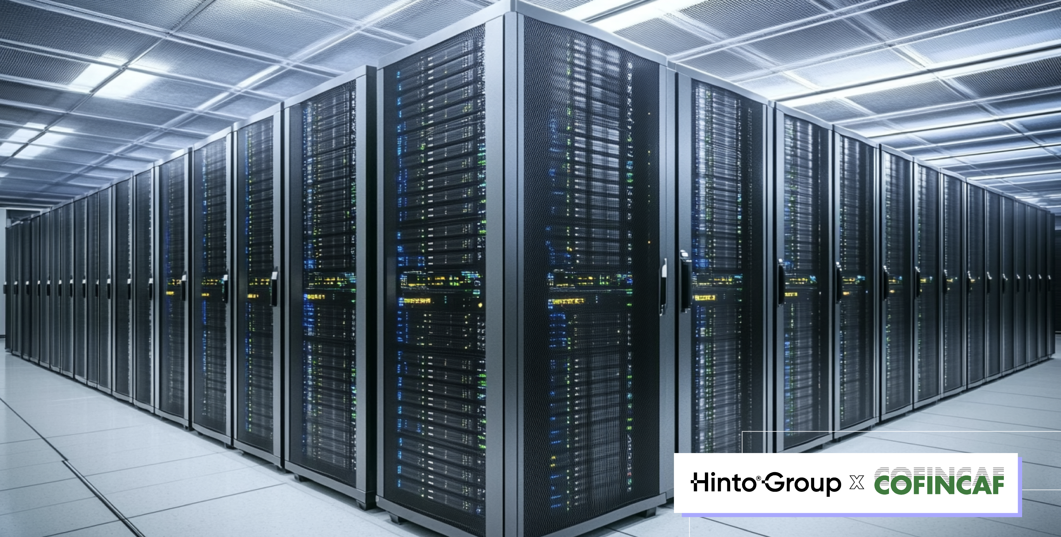 Hinto®GroupxCofincaf