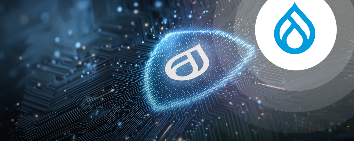 Drupal_PrivacyByDesign_HintoGroup_CoverBlog