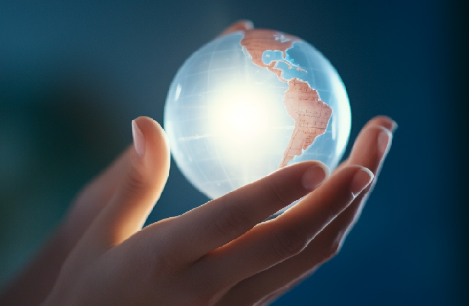 Energy and Sustainability Case Study cover image